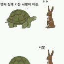 토끼와거북이 이미지