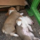 세광상사 이미지