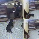 꼬리치는강아지 이미지