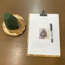 12/11 크리스마스 생화 트리 이미지