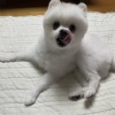 장녹수 노래연습장 이미지