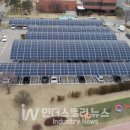 토탈 태양광발전소 이미지