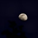 청라근린공원 이미지