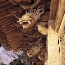 달마스테이 이미지