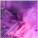 찐대박고깃집 | 수원맛집 신선함과 편안함이 가득한 찐대박고깃집 후기