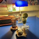 대구 동대구역 카페 고양이가 있는 독립서점 북카페 심플책방