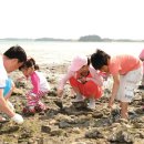 무안비치호텔 이미지