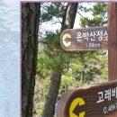 춤추는고래펜션 이미지