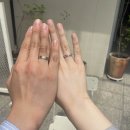 W7. 대구 웨딩링, 웨딩밴드 / 퓨어러브, 수누주얼리 투어 후기 / 결혼 예물 / 워킹 신부