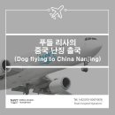 청화종합동물병원 이미지