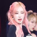 지젤헤어 이미지
