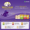 웰니스 지 이미지