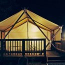 월드니스 이미지