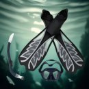 스노클링 이미지