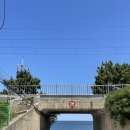 동해-단속-30 | 장칼국수 짱맛 / 묵호 필수 포토존 위치 / 어달삼거리 현황 / 소품샵 투어 / 거동탕수육 웨이팅 후기)