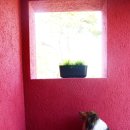 해피플레이스게스트하우스 이미지