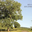 인아웃