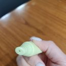 주식회사 오알엔피