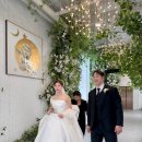 아이니분식 | [본식후기] 빌라드지디안양 본식 후기 (크리스탈캐슬홀) / 한동근 축가 후기