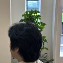 78번길미용실 이미지