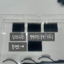 미용] 배곧 속눈썹 연장 전문 썸뷰티크 | 자연스럽고 오래가는 플랫모 시술 후기