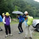 [수리산5] 제3산림욕장 임도 수암봉 원점회귀 150719일 이미지