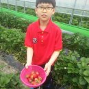 다윈태권도 이미지