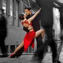 밸리댄스(중급) 이미지