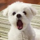 말랑말랑 이미지