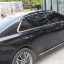 카멜레온 디테일 이미지