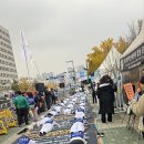 2024년 예산확대를 요구하는 전남지부 오체투지(국회의사당앞,24.11.21) 이미지