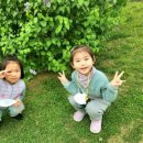 삼성현유치원 이미지