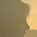 고윤이몰 | 비중격이 휘어 슬펐던 만두… 결국 코수술을 감행하다(내돈내산 코수술)