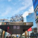 서초대로48길 20 이미지