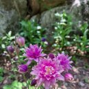 승희농장 이미지