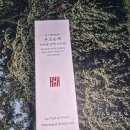 스킨케어스토아 | 수분 촉촉 안색선크림, 김소형 헤밀레 비단쌀 톤업선크림 추천