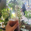 누오보 | 홍대 주차가능 카페 알누오보 다녀온 후기