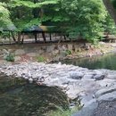 늘소나무산장 이미지