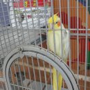 문경자연생태박물관 이미지