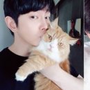 쿵이 이미지