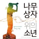 나무상자 이미지