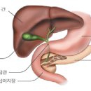 늘편한내과의원 이미지