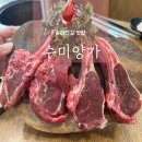 수미양가 이미지