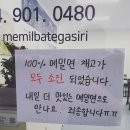 메밀밭에가시리 네이버블로그