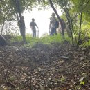 여시코빼기 이미지