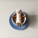 마우시