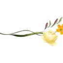살롱드희 - 여수시 웅천2길 9 | 살롱드희
