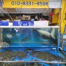범탱이네 네이버블로그