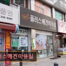 플러스애견미용실 이미지