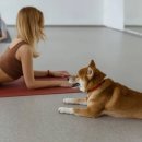 테라피 요가 이미지